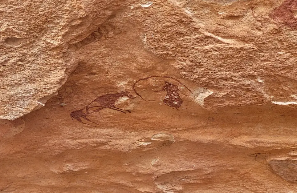 Ancient rock art site in Algeria's Sahara